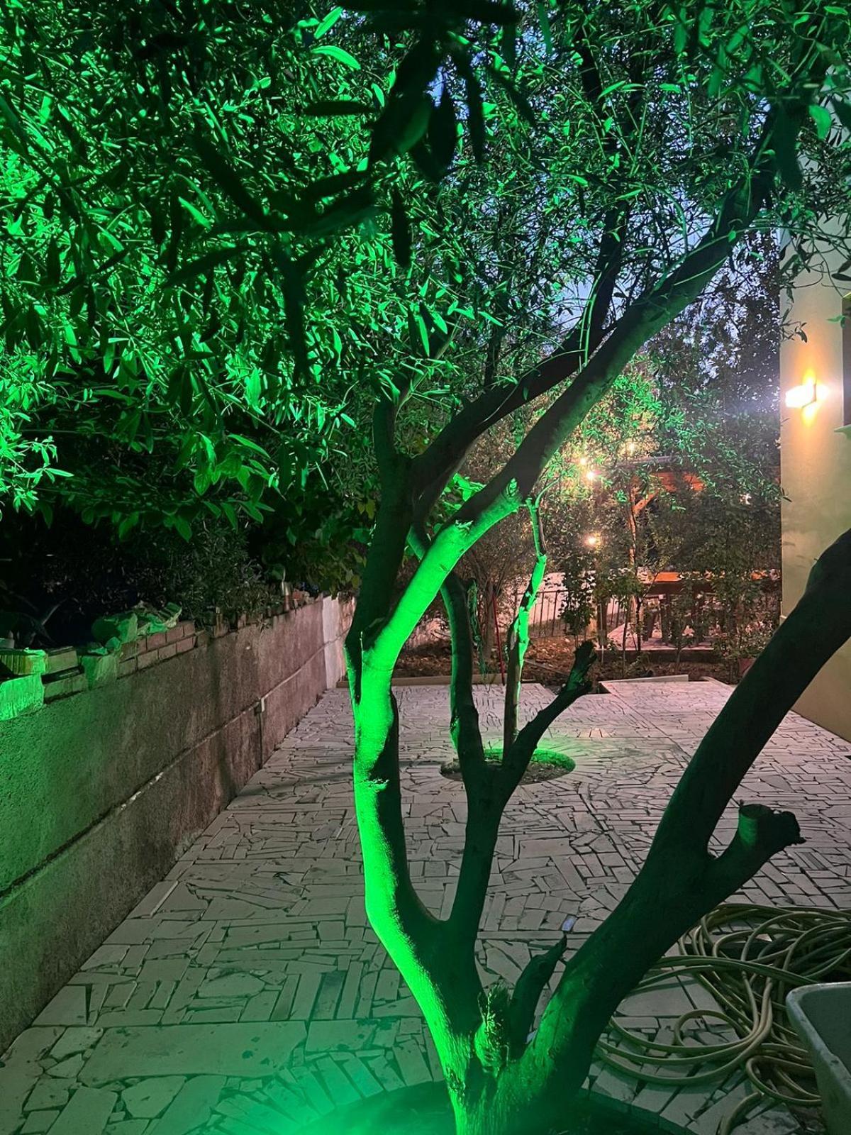 Vila Magis Vlorë Buitenkant foto