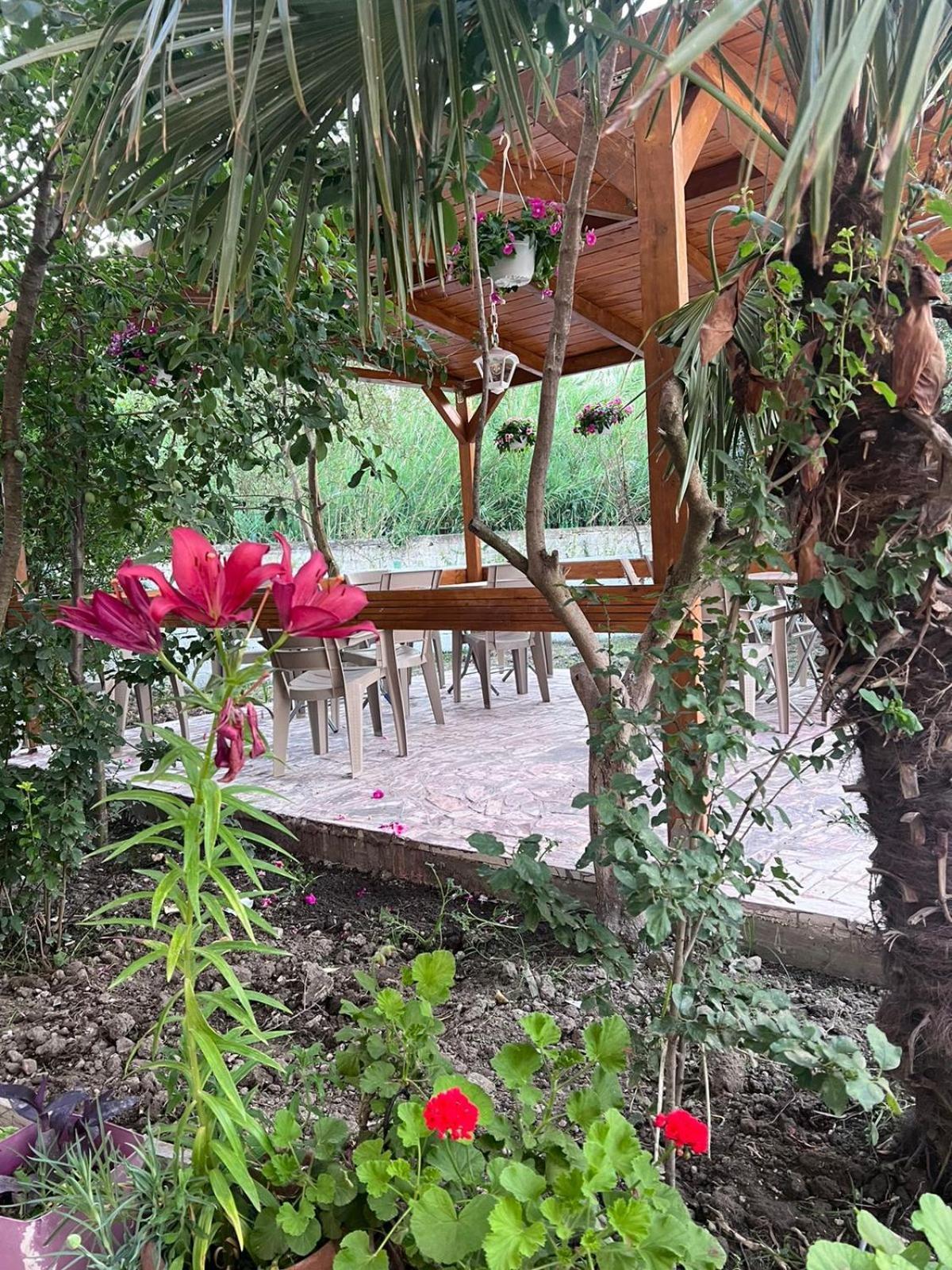 Vila Magis Vlorë Buitenkant foto